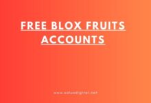 Free Blox Fruits Accounts